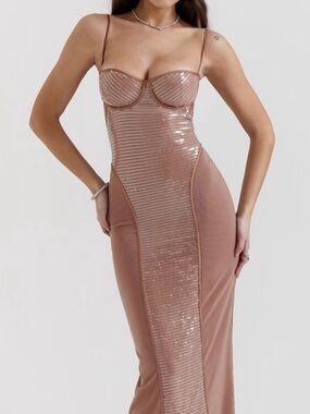 milena hot pink corset maxi dress Viene Corset Maxi Dress